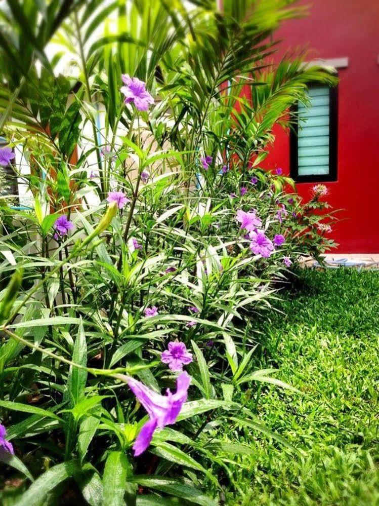 Mulberry House Hotel Pak Thong Chai Ngoại thất bức ảnh